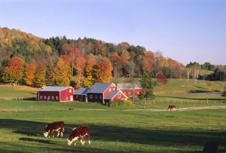Countryside Tutorials
